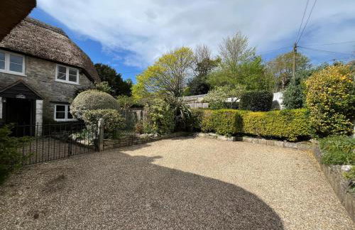 Little Ivy - Photo 20