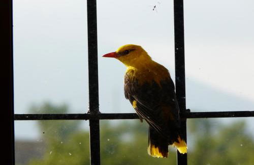 Cortijo La Estrella - Foto 52
