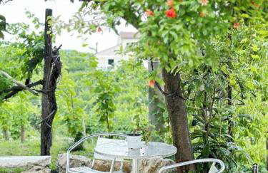 Valdobbiadene - free parking - Colline Prosecco - Foto 3