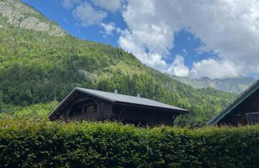 Appartement confortable Abondance centre-ville - Photo 2