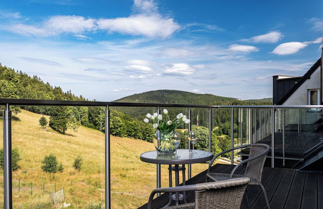 Apartamenty Sun & Snow Panorama Czarna Góra - Foto 42