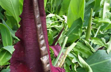 Creativ hause - Foto 20