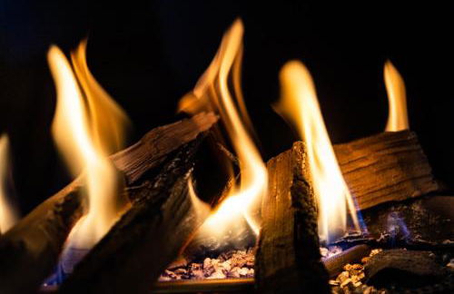 Seeheimat Ferienwohnungen - Foto 49