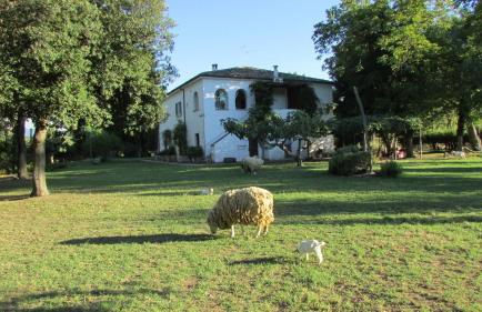 Agriturismo "Borgo Madonna degli Angeli" - charming cottages in the gardens ! - Foto 49