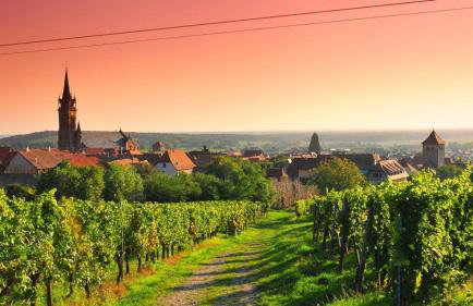 L'Etoile du Vignoble Meublé de Tourisme 4 étoiles au cœur d'un ranch alsacien sur la route des Vins - Climatisé - Foto 19
