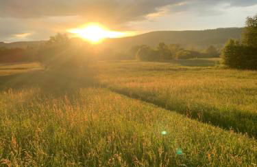 Wolfs-Blick - Foto 18