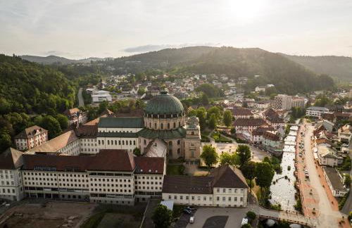 Schwarzwaldglück - Foto 20