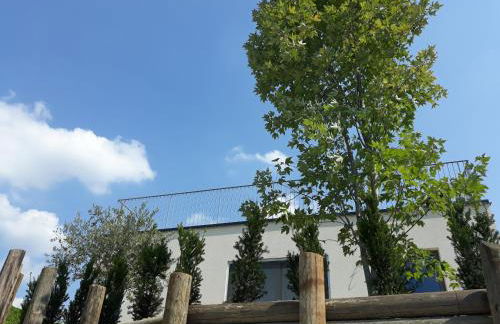 Agriturismo Vitae di Langa - Foto 59