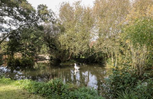 Ash Tree Cottage - Photo 20