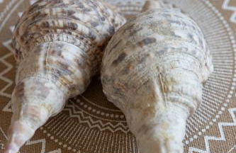 La Casa Lemonià - Foto 15