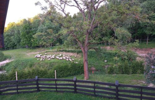 Dom na Krzemienicy - Foto 22