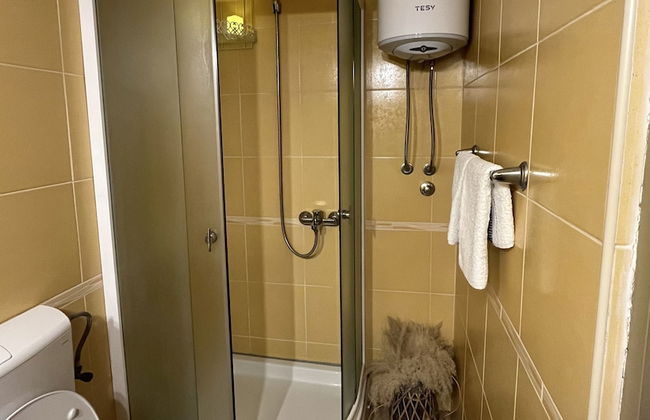 Apartments Vojvoda - Foto 33