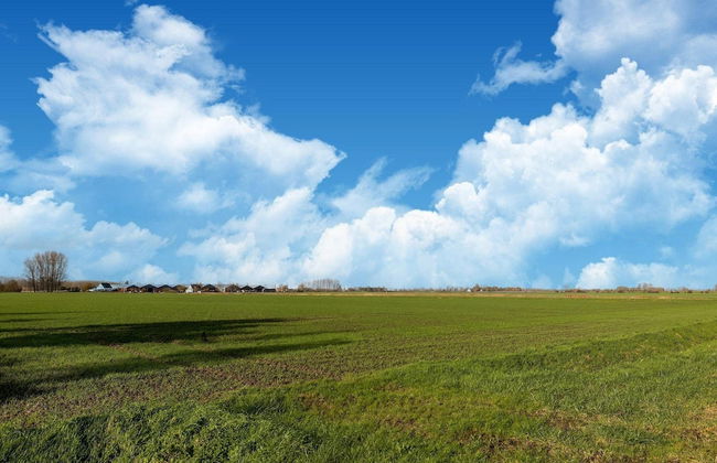 Eco-friendly Apartment With a Garden - Foto 22