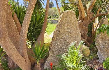 Agroturismo Finca Can Sec - Foto 27