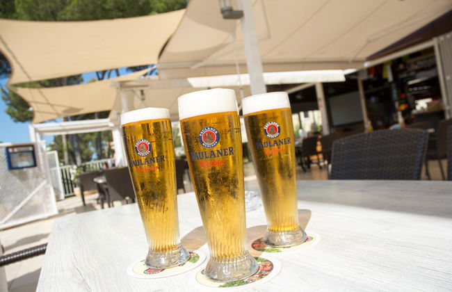 Tres Torres - Photo 25