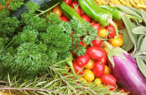 Agriturismo Fattoria Walden - Foto 55