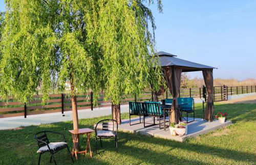 Willow Home - Photo 4