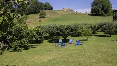 Casa Rural Bordaberea - Foto 5, Garden