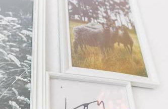 Le Marpaux - Foto 12