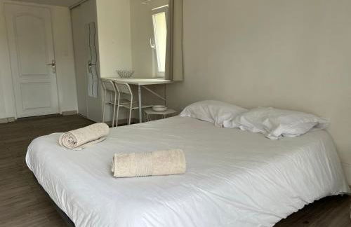 Tours, Touraine et Chateaux de la Loire - Foto 7