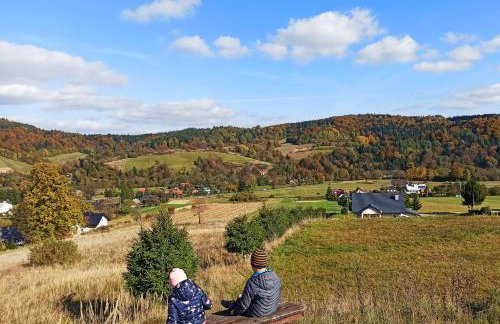 Willa Maja Bieszczady noclegi Bieszczady - Foto 45