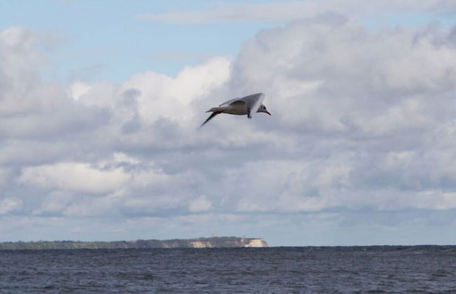 Meeresbraut Comfortable Holiday Residence - Photo 10