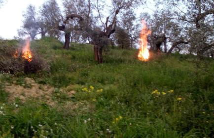 Agriturismo Via del Campo - Foto 15