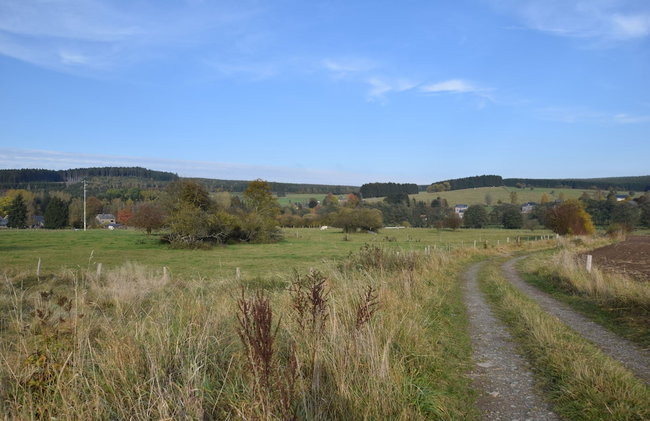 Holiday Home in Tenneville by Ourthe River - Photo 22