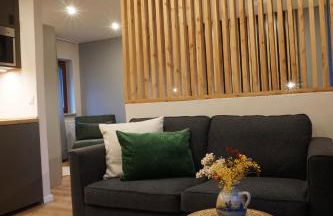 Panorama Apart Fichtelberg - Foto 23