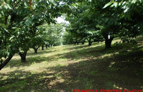 Tenuta Fortelongo - Foto 94