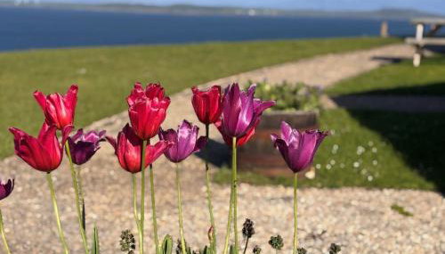 Bracken Cottage - Foto 2