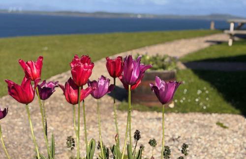 Primrose Cottage - Foto 22