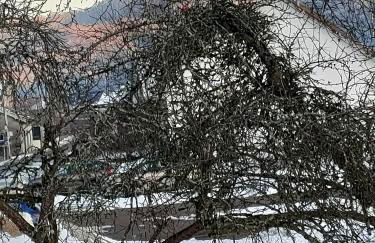 home edwige - Foto 10