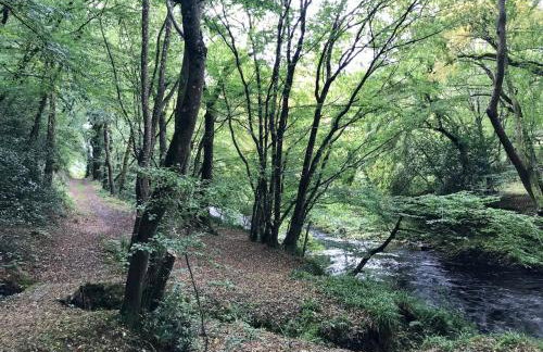 Characterful, Cosy Dartmoor Cottage - Foto 18