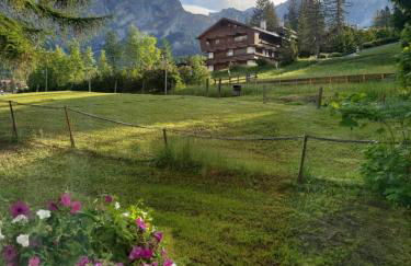 APPARTAMENTO CORTINA 1956 - Foto 28