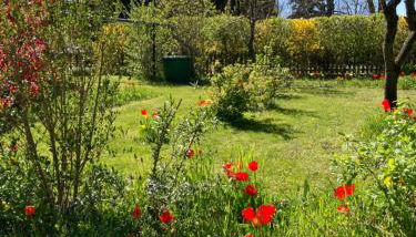 Villa Kunterbunt: Urgemütlich und fast perfekt - Foto 3