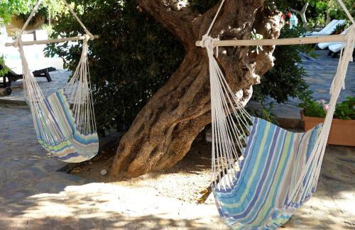 Cretan Village Hotel - Foto 32