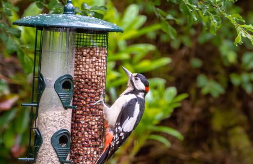 Lann Dearg Studios - Photo 16