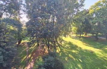 Apartament Saturna - Foto 2