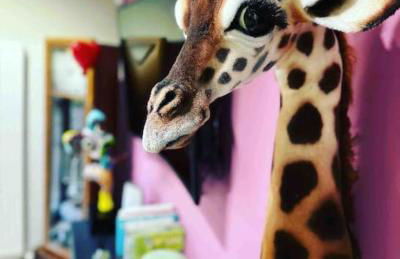 Bonshaw Grange-Riverside Country Retreat, & HotTub - Photo 33