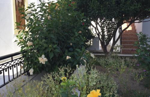 Livanina apartments - Foto 29