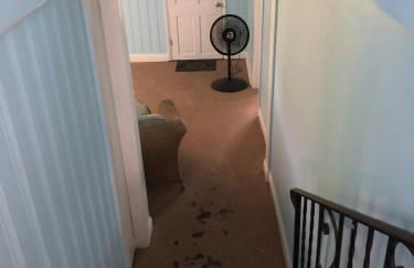 Beach Front on the Bay in our Rustic, Pet Friendly Cottage home - Photo 56