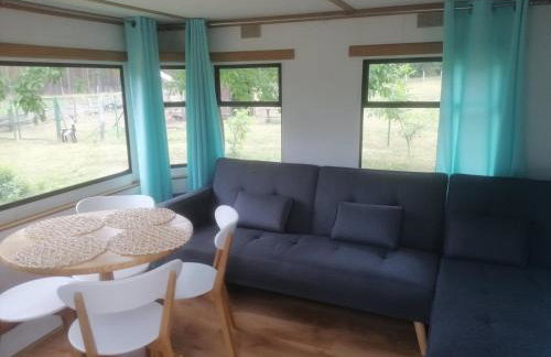 "Koziołek Suchodołek" - Foto 11