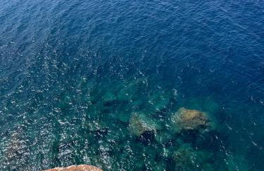 Koko's home - Photo 48