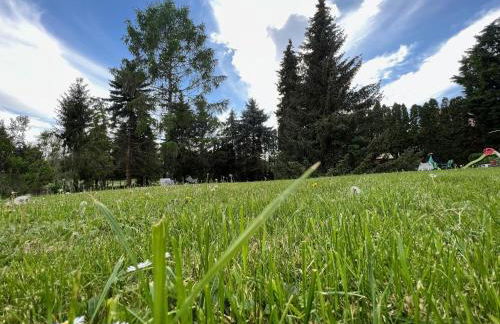 Ferienwohnung Thiel - Foto 40