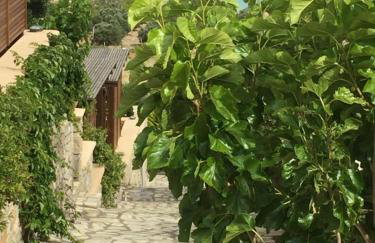 Natica Mare Villas - Foto 40