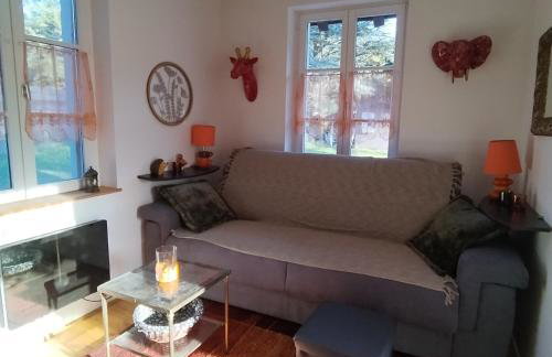 Chalet le Ponderosa - Foto 9