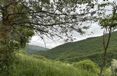 Casa Dulcinea en Brañosera - Foto 42