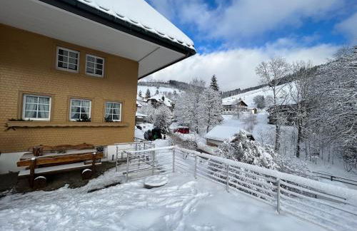 Berghof Almzeit - Fewo "Hüsli", Sauna, Todtnauberg, Feldberg - Foto 42