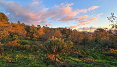 Bayo - terra essentia - Photo 5